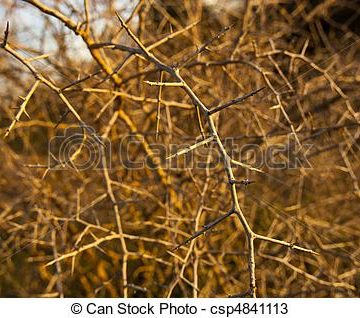 can-stock-photo_csp4841113 blogimage